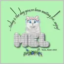 Mel - Today Is The Day - Cat