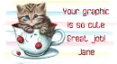 Kitten in a cup - Jane