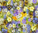Spring/Background