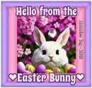 Easter Bunny - by Robbie