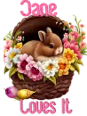 Easter Bunny Basket - Jane