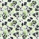 Panda Bear Background