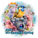Beautiful Spring ~ Shaki