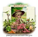 Garden Seeds