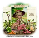 Belle (Garden Seeds)