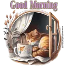 Sleeping Kitty - Good Morning