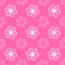 Pink Flowers Background