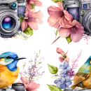 Camera and Bird Background