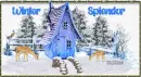 Winter Splendor