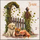 Adorable puppy by fence - Jane