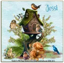 Bird House and birds - Jessi