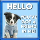 You've got a friend in me - by Robbie