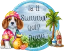 Summer Doggie - jane