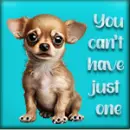 Stamp #3 Chihuahua, can't have just one