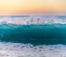 Beach/Nature Background
