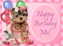 Mel Happy Birthday