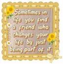 Friendship - by Robbie