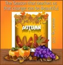 Autumn - by Robbie
