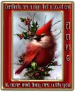 Cardinal
