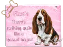 Basset hound - Flash