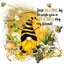 JUST BUZZING BY TO WISH YOU A BEE-UTIFUL DAY MY FRIEND - BEAUTIFUL BEE - GNOME - TYLA