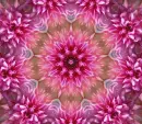 Mandal Background
