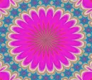 Mandala Pink Background