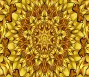 Mandala Background Brown