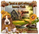 Just a girl who loves Fall - Jane