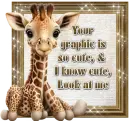 Baby Giraffe - So Cute