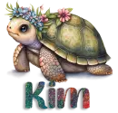 Cute Turtle - Kim