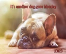 Another Monday