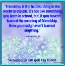 Friendship