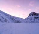 Snowy Winter Background