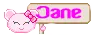 Tiny name tag - Jane