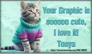 Cute kitty in sweater - Tonya