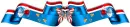 4th July Divider