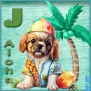 Aloha Doggie - J