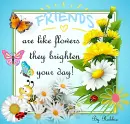 Friends