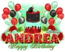 Andrea-Birthday Gift
