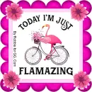 Today I'm just Flamingo~!