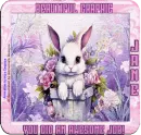 Cute Bunny - Jane