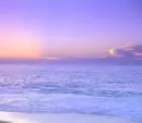 Purple Beach Background