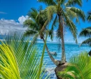 Beach Life Background
