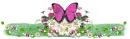 Daisies and Butterfly-Divider