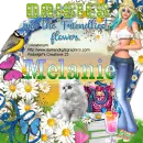 Melanie -Daisies.... tag