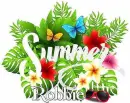 Robbie