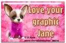 Cute Chihuahua - Jane