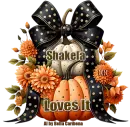 Pumpkins - Shakela