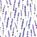 Background - Purple flowers